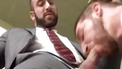 Office Workers., Big Cock, Mature, Bears