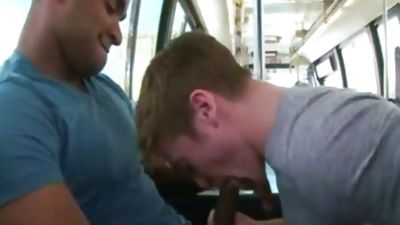 indecent Interracial Sex, Anal, Black, Blowjob