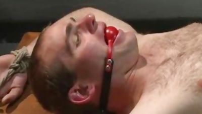 Straight Proffessor acquires Edged And dildo plowed In The Classroom, Dildo, Fetish, Student