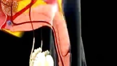 Cum in mouth animation, Blowjob, Fetish, Orgasm, Cum In Mouth