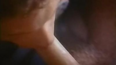 Lee Marlin in Vintage Gay Porn Scene from Nova's HOUSE CALLS (1980), College, Pornstar, Vintage, Gay