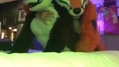 Fursuit sex, MasterkennyG and Felix, College, Gay, Bareback