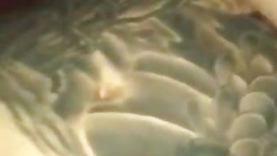 drunk guy, Amateur, Big Cock, Blowjob