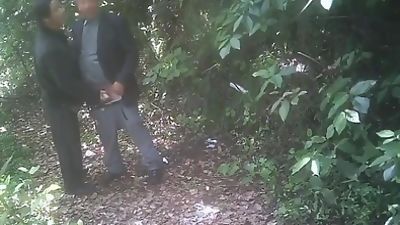 China Cruising in the Park from edicosta, Asian, Handjob, Outdoor