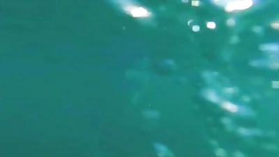 A Thing Of Beauty - Scene 5, Big Cock, Brunette, Fingering, Cocky Boys, Gabriel Clark