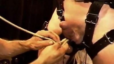 Extreme CBT ball stretching with weights, Gay, Muscle, Bondage