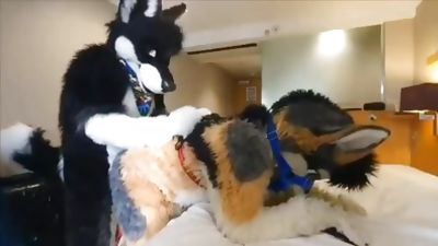 Eclipse bangs AERA, Amateur, Gay, Bareback