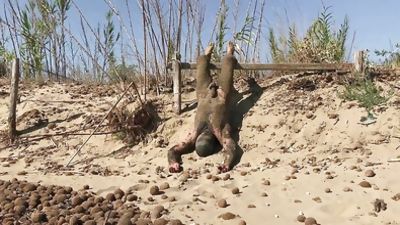 Dirty found at the beach, Amateur, Big Cock, Bikini, Beach, Gay, Swimsuit