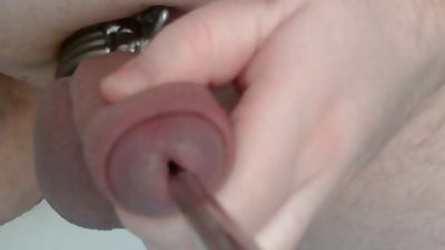 My always hungry P-Hole which is gaping for getting more Sounds, Amateur, Big Cock, Solo, Gaping