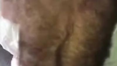 Polar Bear Furry Hairy hard fuck, Amateur, Mature, POV