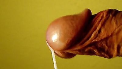 FAGGOTS!, Old And Young, Bareback, Bears, Old