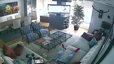 IP cam couch jerker (offline cam), Gay, Voyeur, Couch
