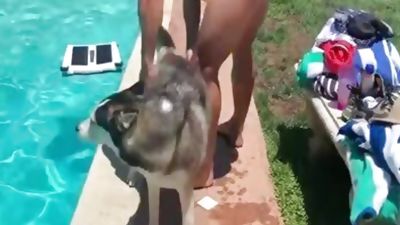 Summer Pool bang, Cumshot, Interracial, Outdoor, Gay