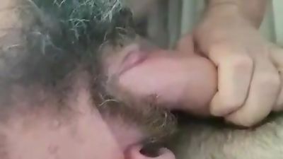 Suck friend, suck! Drink it all, man!!., Big Cock, Blowjob, Hairy, Gay, Swallow