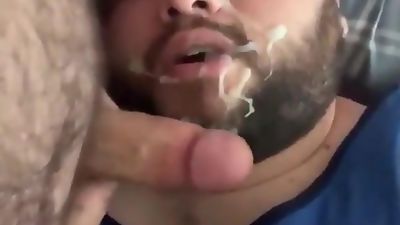 young bear sucks daddy, Amateur, Old And Young, Gay, Young