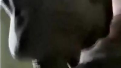 Greg & Joey Full, Anal, Big Cock, Creampie