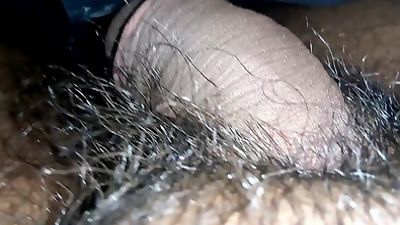 Dick in underwear. Sleeping penis. Lion in Bushes. Hold my, Big Cock, Blowjob, Massage