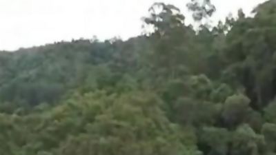 bay watch, Big Cock, Cumshot, Gay