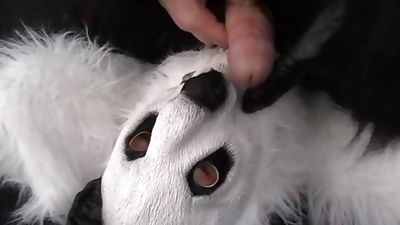 Taboo - Scene 3, Anal, Ass, Blowjob