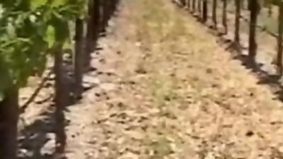 Jason Ridge fucks Damian Rios., Anal, Ass, Big Cock