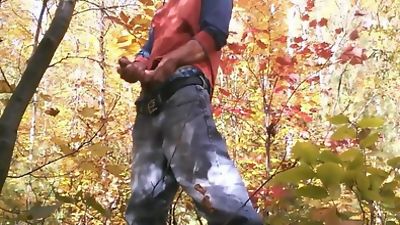Beautiful, autumn forest, and I with my penis!, Masturbating, Outdoor, Bareback