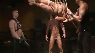 fastened Gods - Muscle bondage Live Show - D, Webcam, Muscle, Hunks, Trenton Ducati