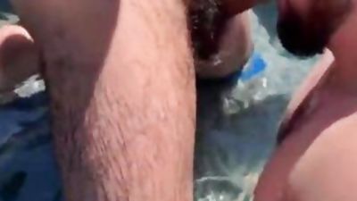 ZADDY & bulky - GBC, Muscle, Fat