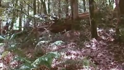 Forest group J/O: Arpad Miklos, Dillon Buck, Jack Bond, Park Wiley & Tober Brandt, Blowjob, Masturbating, Outdoor, Arpad Miklos, Park Wiley, Dillon Buck