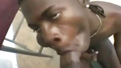 ebony bare bang, Black, Bareback, Ebony