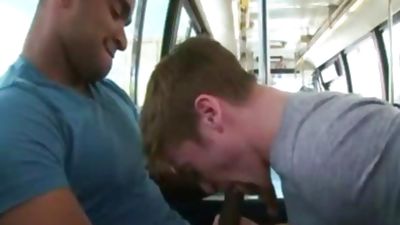 indecent Interracial Sex, Anal, Black, Blowjob