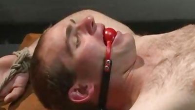 Straight Proffessor acquires Edged And dildo plowed In The Classroom, Dildo, Fetish, Student