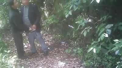 China Cruising in the Park from edicosta, Asian, Handjob, Outdoor