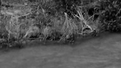 Vintage Boys Playing Sports... Nude (No Sex), Amateur, Vintage, Gay