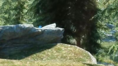 SKYRIM: Argonian Bonding, Gay, Bears, Daddies, Fantasy