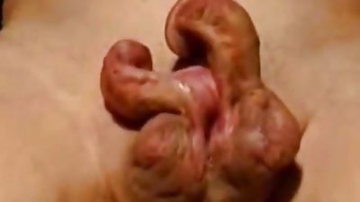 Bizarre Penis Masturbation, Gloryhole, Webcam, Bears