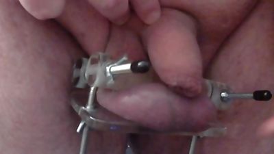 Trying my new CBT toy and already oozing precum just from putting it on, Amateur, Big Cock, Fetish