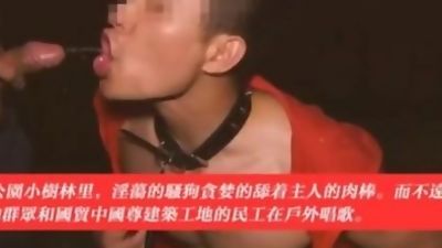 Chinese dog, Asian, Blowjob, Homemade