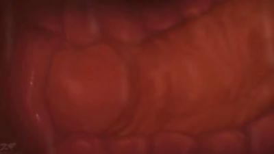 Furries Do It Better - A Yiff HMV SFM PMV, Anal, Fetish, POV