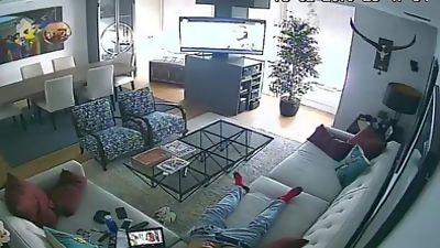 IP cam couch jerker (offline cam), Gay, Voyeur, Couch