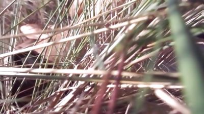 While they fuck me the others take care of my wife., Amateur, Blowjob, Group Sex, Gay