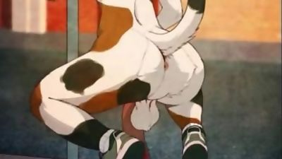 Gay furry sex and cum, Anal, Big Cock, Fetish, Compilation, Orgasm