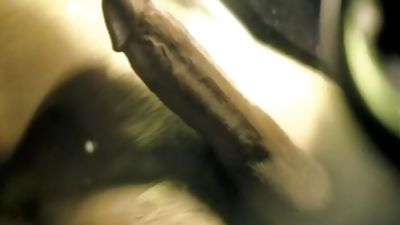 Total Corruption - Scene 1, Anal, Blowjob, Masturbating, Gay