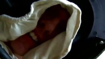 Firm butt gets a massage, Massage, Gay, Muscle