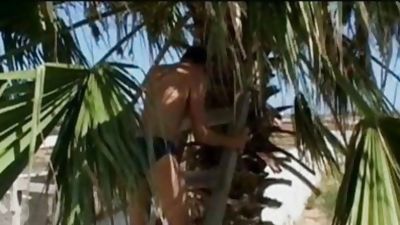 NOMADES PRINCES PERVERS II BMQ, Anal, Big Cock, Gay