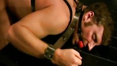 Bought, Fetish, Bondage, BDSM