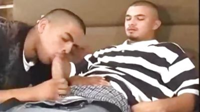 palatable Latinos Fuckin', Blowjob, Beauty, Brazilian