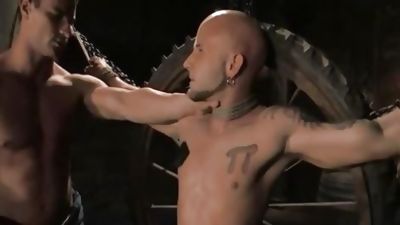 Sadomasochism - The Farmer And The Punk., BDSM, Punk, Submissive