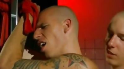 Berlin Beer thraldom Pigs, Anal, Fetish, Bondage