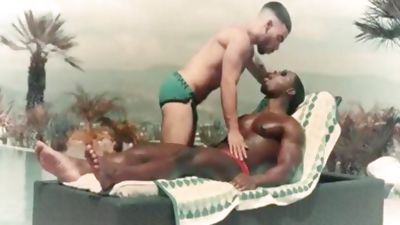 Solid Connection, Anal, Blowjob, Cumshot