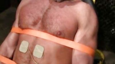 GRUNT acquires TORTURED, Bondage, Torture, Bounded